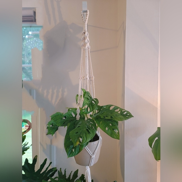 Single plant macrame hanger - Picture 2 of 2